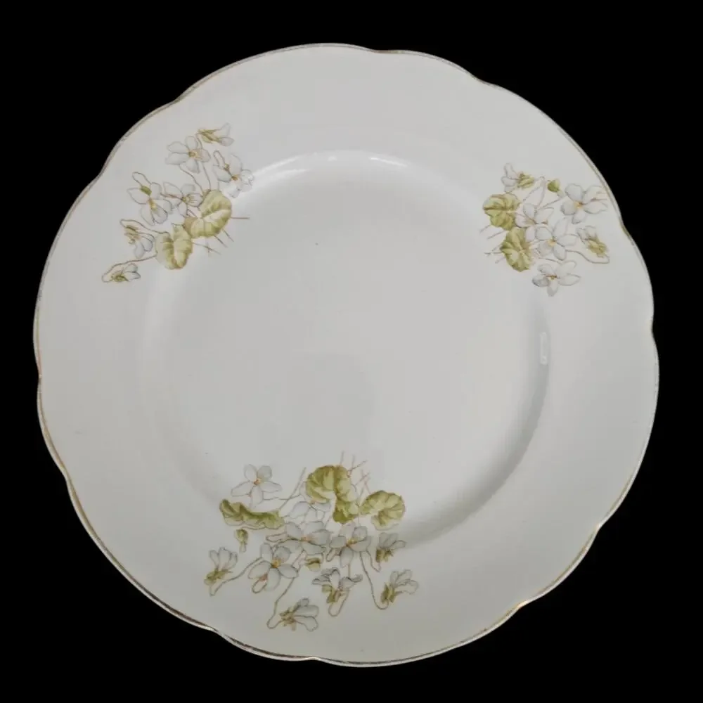 John Maddock & Sons Royal Vitreous England Floral Dinner Plates Set of 2
